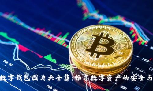 狐貍數(shù)字錢包圖片大全集：暢享數(shù)字資產的安全與便捷
