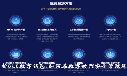 全面解析DLE數(shù)字錢(qián)包：如何在數(shù)字時(shí)代安全管理您的資產(chǎn)