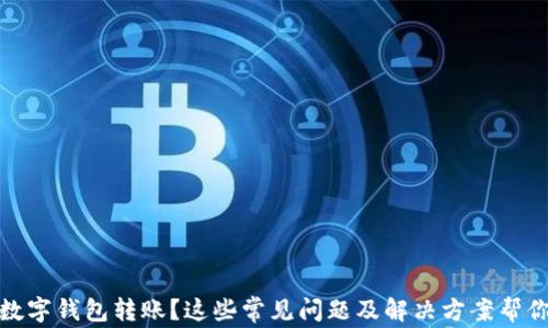 
沒有收到數(shù)字錢包轉(zhuǎn)賬？這些常見問題及解決方案幫你找回資金