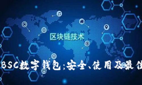 了解BSC數(shù)字錢包：安全、使用及最佳實踐