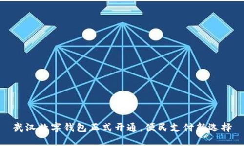 武漢數(shù)字錢包正式開(kāi)通，便民支付新選擇