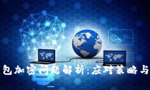 狗狗幣錢(qián)包加密問(wèn)題解析：應(yīng)對(duì)策略與解決方案