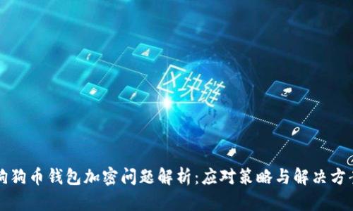狗狗幣錢(qián)包加密問(wèn)題解析：應(yīng)對(duì)策略與解決方案