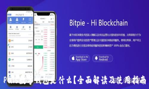   
Puls數(shù)字錢包是什么？全面解讀及使用指南