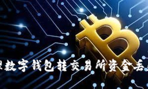 如何處理數(shù)字錢(qián)包轉(zhuǎn)交易所資金丟失的問(wèn)題