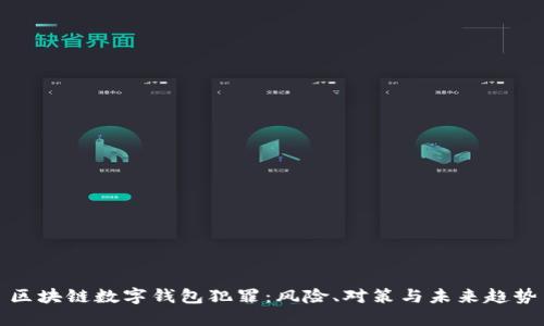 區(qū)塊鏈數(shù)字錢包犯罪：風(fēng)險(xiǎn)、對策與未來趨勢