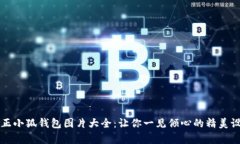 真正小狐錢包圖片大全：讓你一見(jiàn)傾心的精美設(shè)