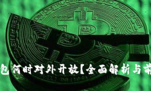 數(shù)字錢包何時對外開放？全面解析與前景展望
