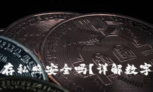 小狐錢包保存私照安全嗎？詳解數(shù)字資產(chǎn)安全性