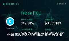 小狐錢包的AXM幣：數(shù)字資