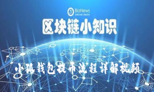 小狐錢包提幣流程詳解視頻