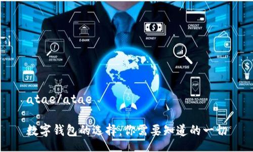 atae/atae
數(shù)字錢包的選擇:你需要知道的一切