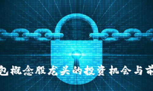 數(shù)字錢包概念股龍頭的投資機(jī)會與前景分析