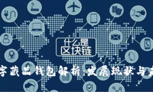 國(guó)內(nèi)數(shù)字藏品錢包解析：發(fā)展現(xiàn)狀與未來趨勢(shì)