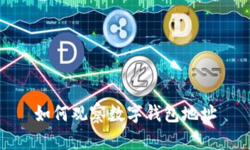 如何觀察數(shù)字錢包地址