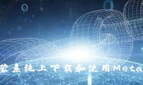 如何在鴻蒙系統(tǒng)上下載和使用MetaMask錢(qián)包