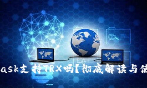 MetaMask支持TRX嗎？徹底解讀與使用指南